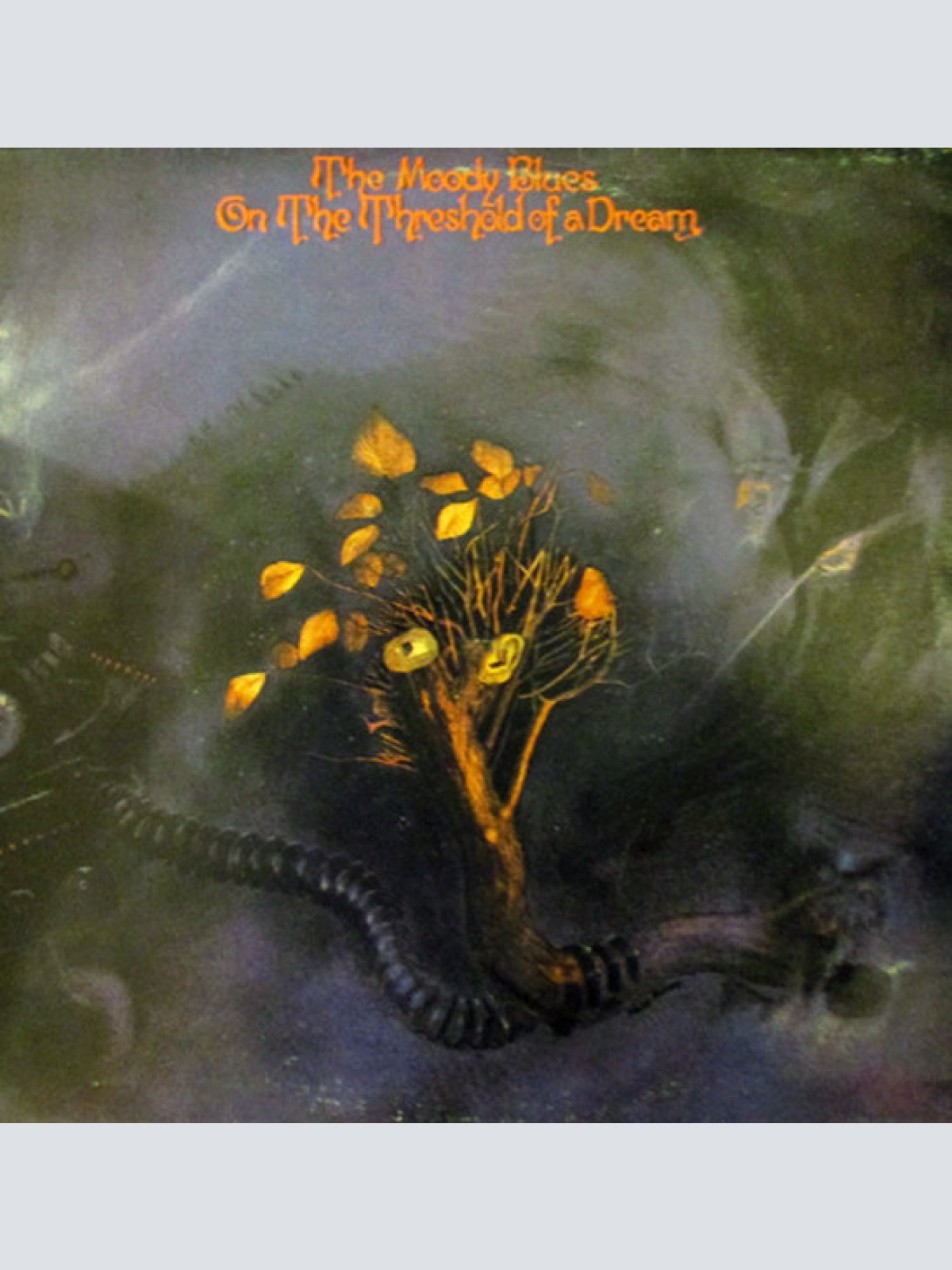 Vinyl / The Moody Blues - On The Threshold Of A Dream