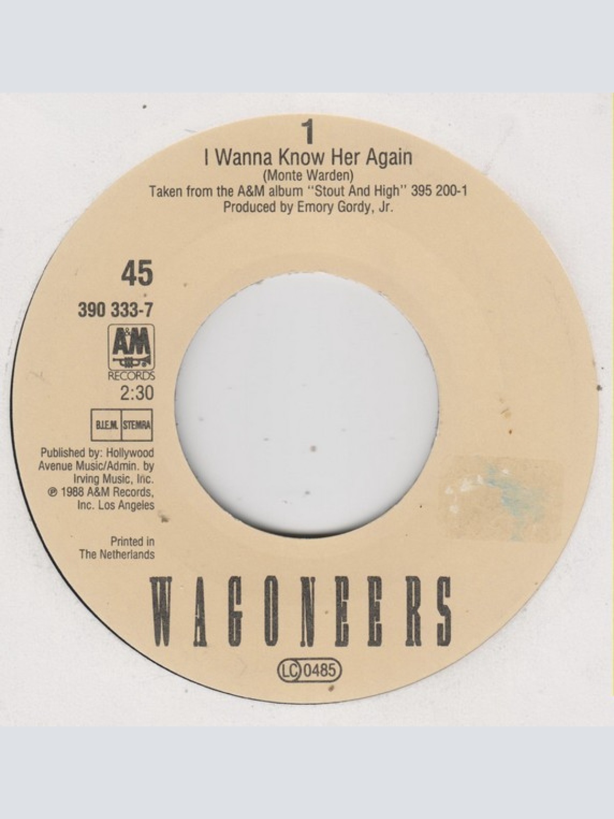 Vinyl / Wagoneers - I Wanna Know Her Again