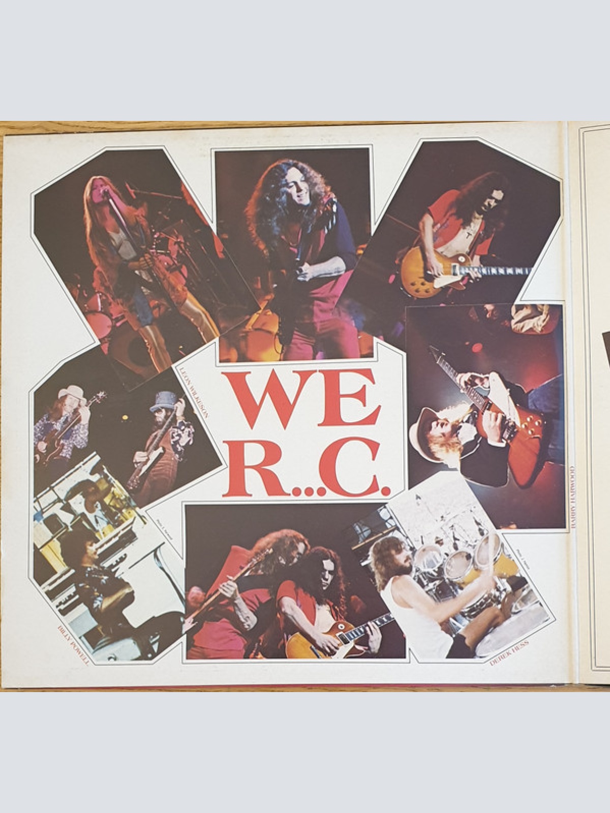 Vinyl / Rossington Collins Band - This Is The Way