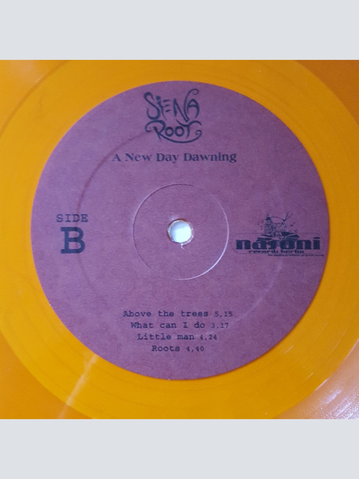 Vinyl / Siena Root - A New Day Dawning