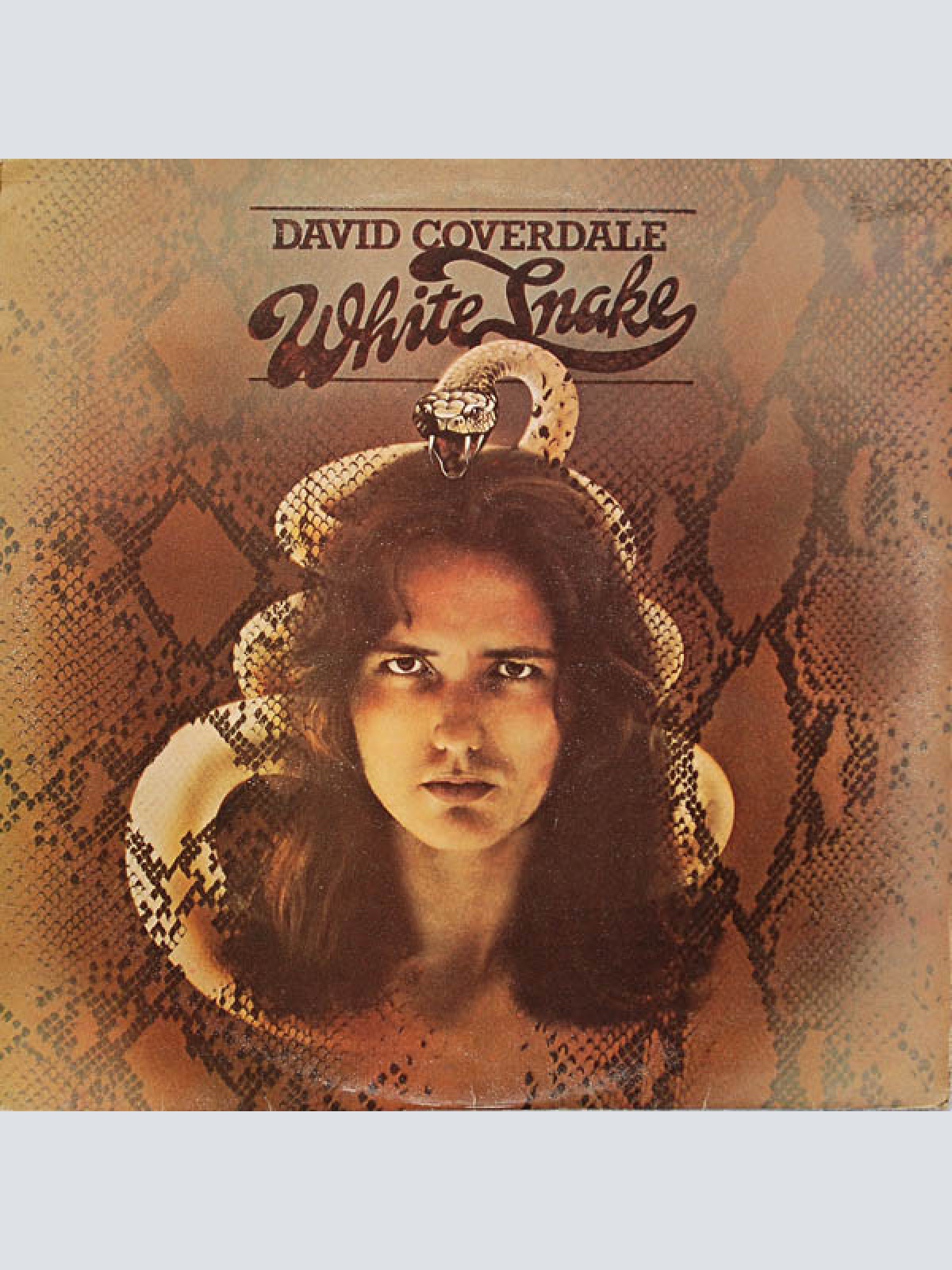 Vinyl / David Coverdale - Whitesnake