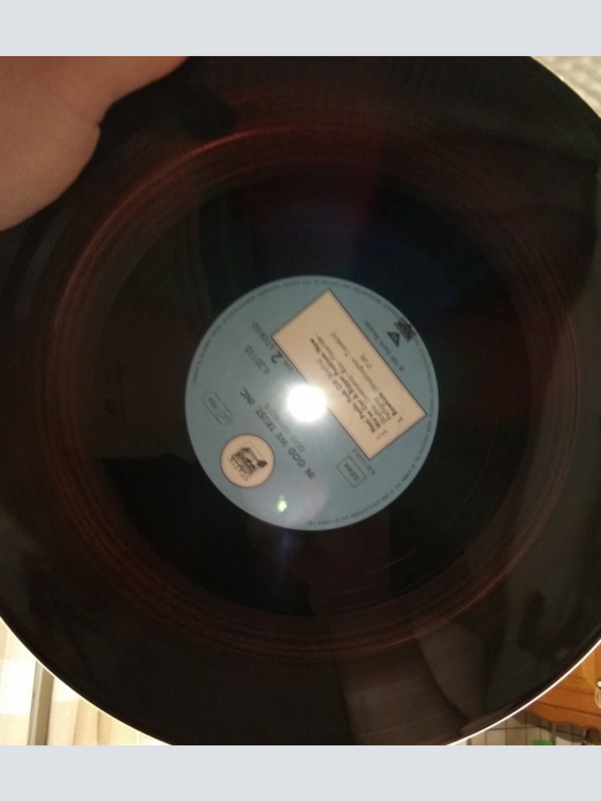 Vinyl / Dead Kennedys - In God We Trust, Inc.