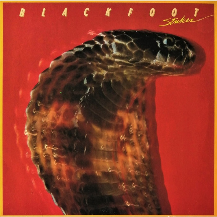 Vinyl / Blackfoot (3) - Strikes