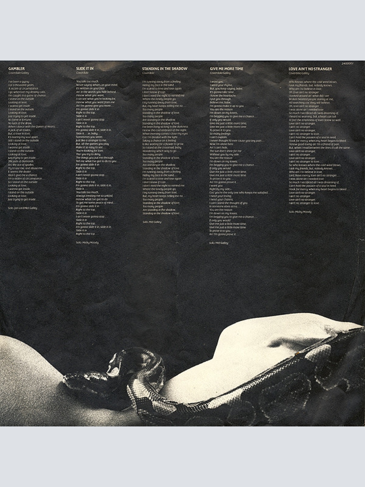 Vinyl / Whitesnake - Slide It In