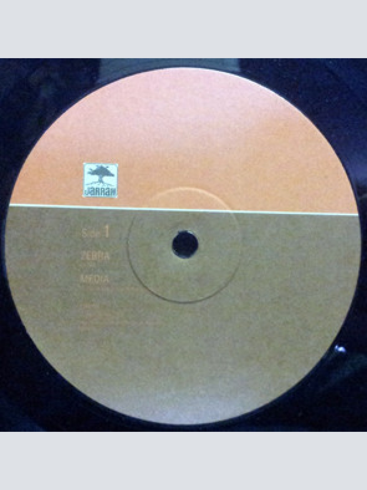 Vinyl / The John Butler Trio - Zebra