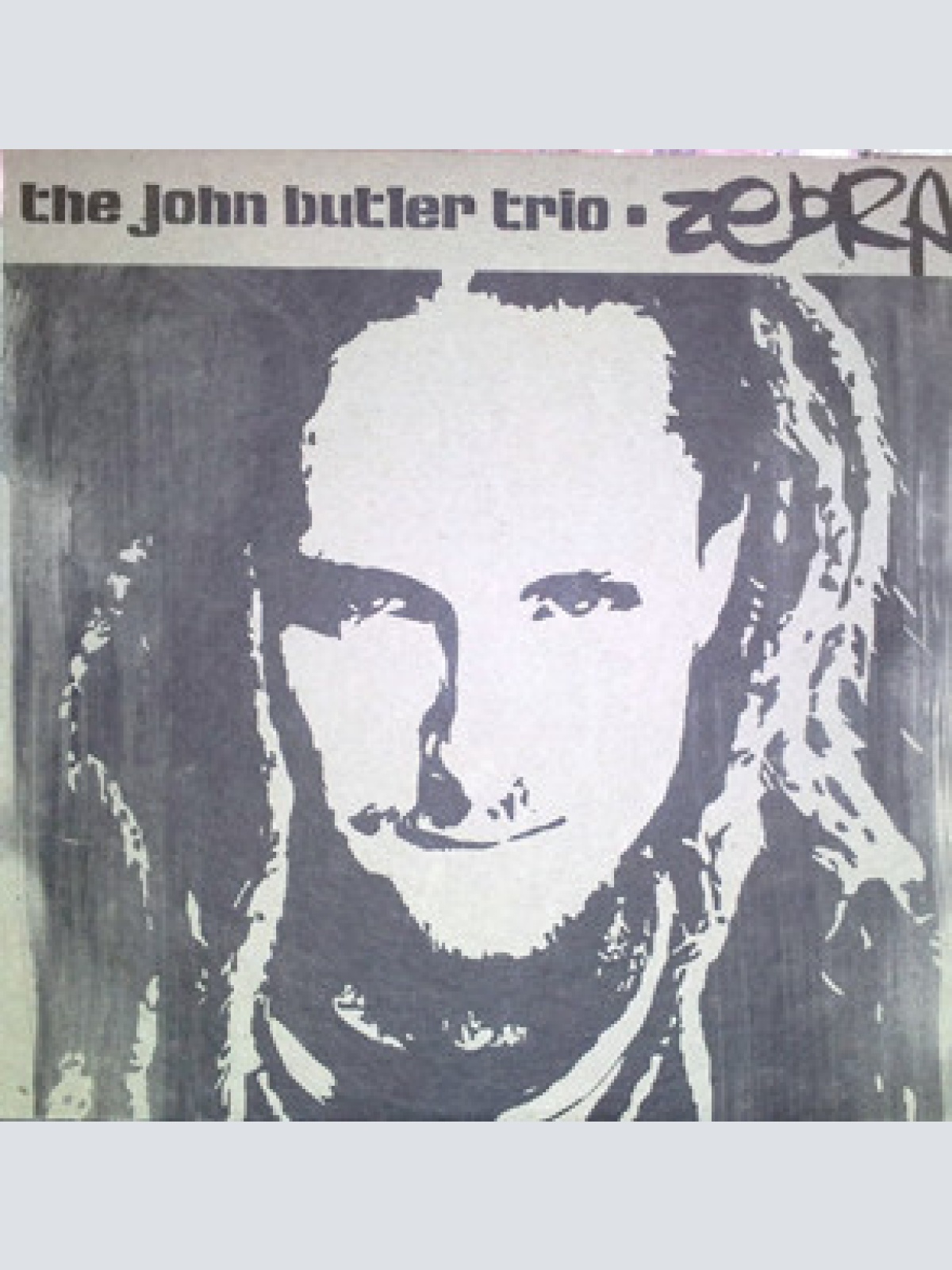 Vinyl / The John Butler Trio - Zebra