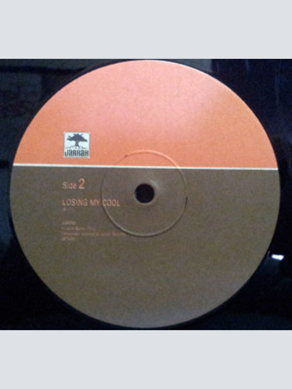 Vinyl / The John Butler Trio - Zebra