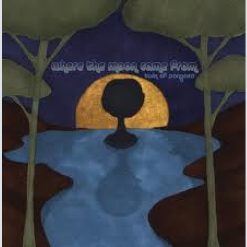 Vinyl / Where The Moon Came From - Twin Of Pangaea