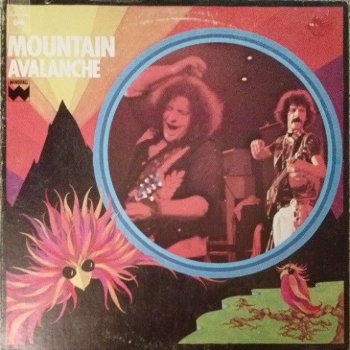 Vinyl / Mountain - Avalanche