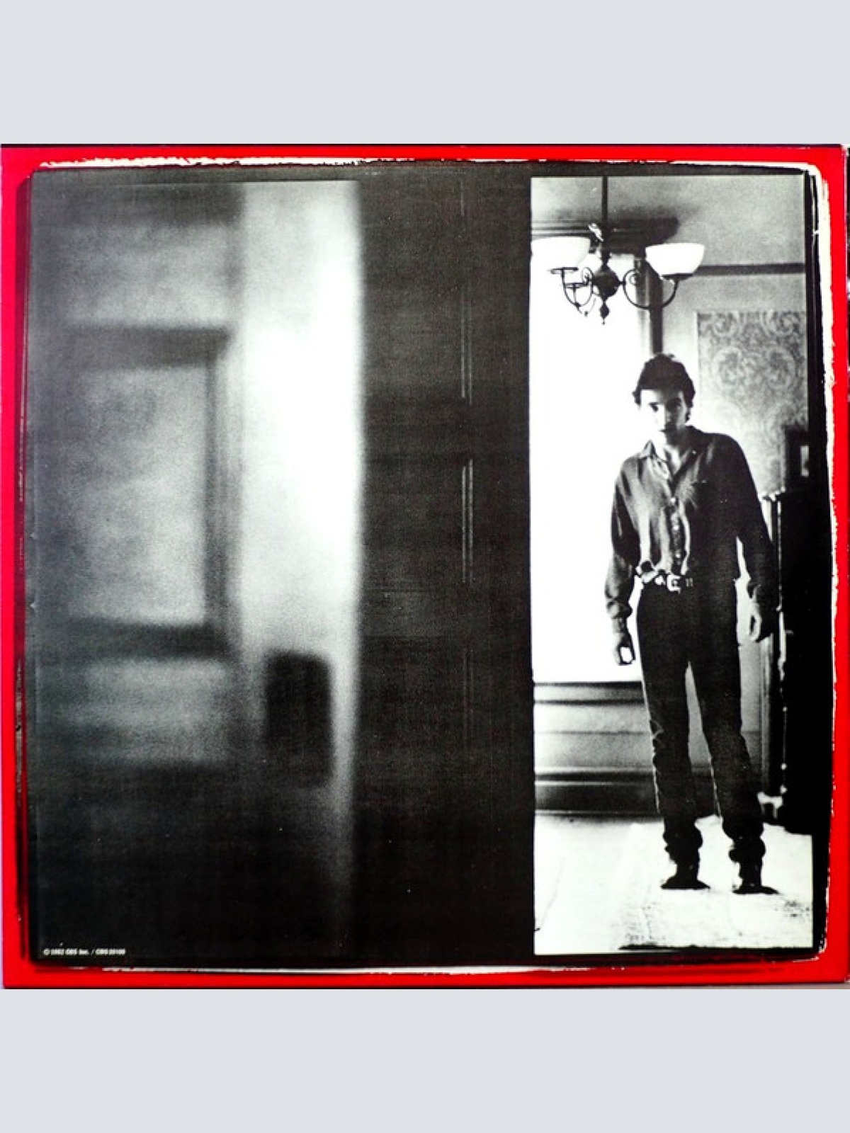 Vinyl / Bruce Springsteen - Nebraska