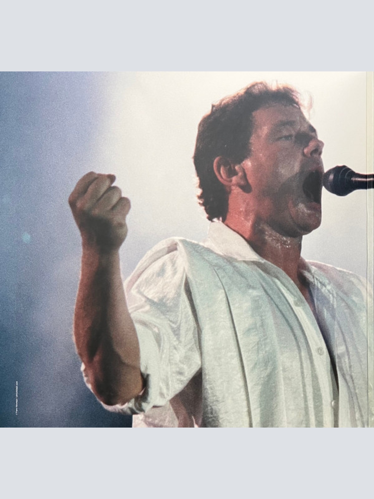 Vinyl / Wolfgang Ambros - Zusammen