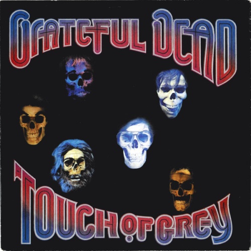 Vinyl / Grateful Dead* - Touch Of Grey