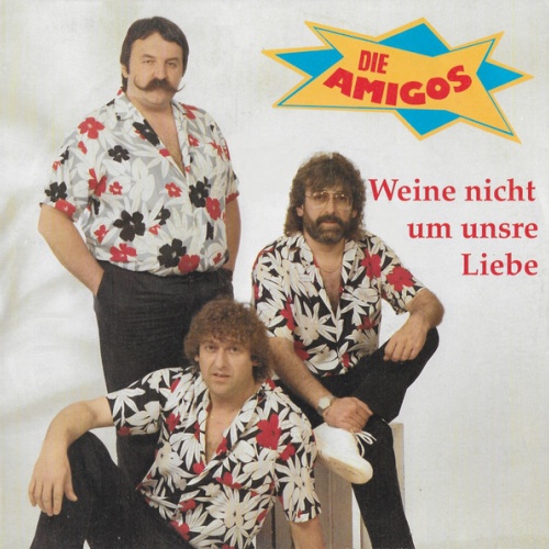 Vinyl / Die Amigos* - Weine Nicht Um Unsre Liebe