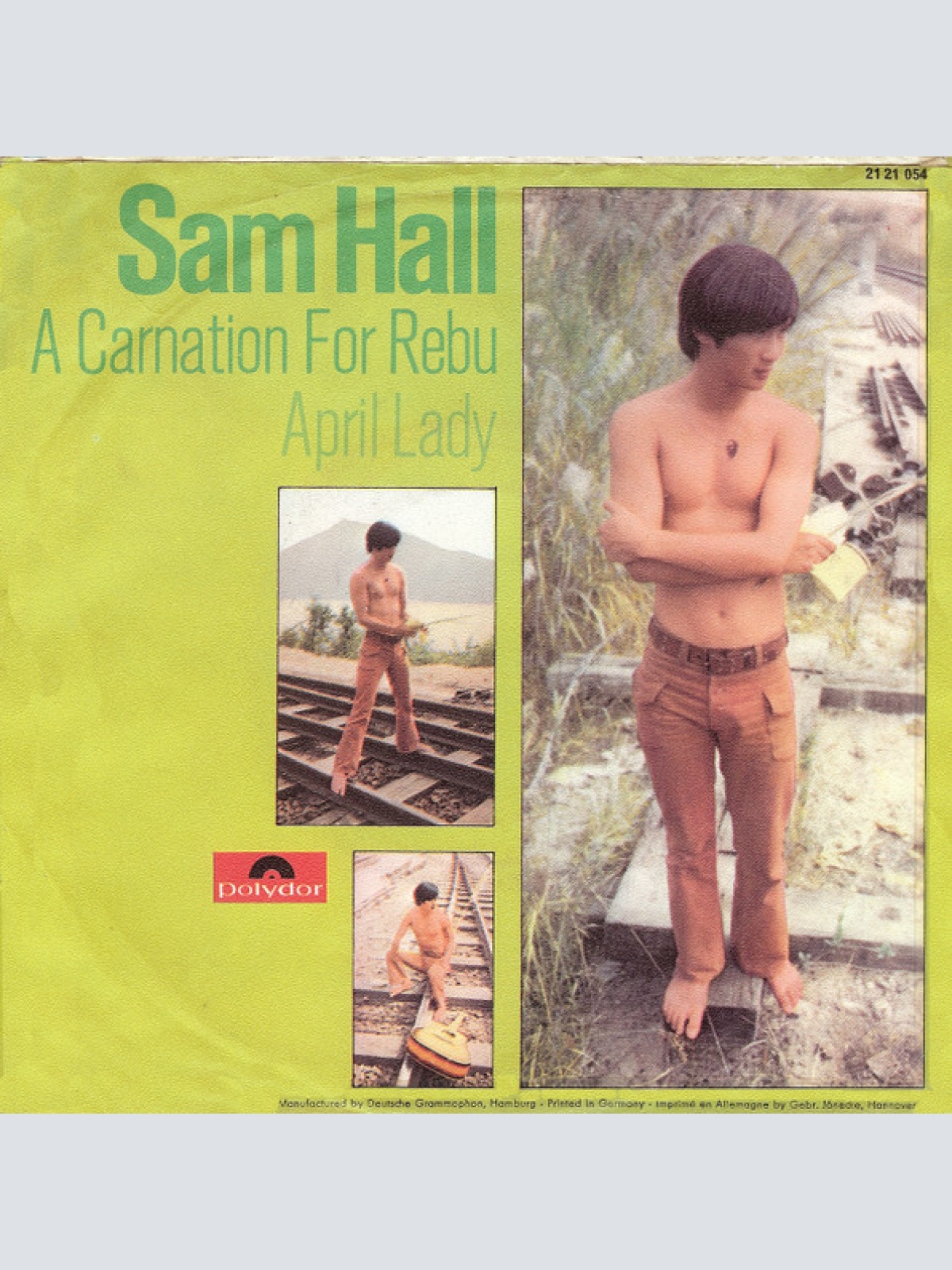 Vinyl / Sam Hall (4) - A Carnation For Rebu