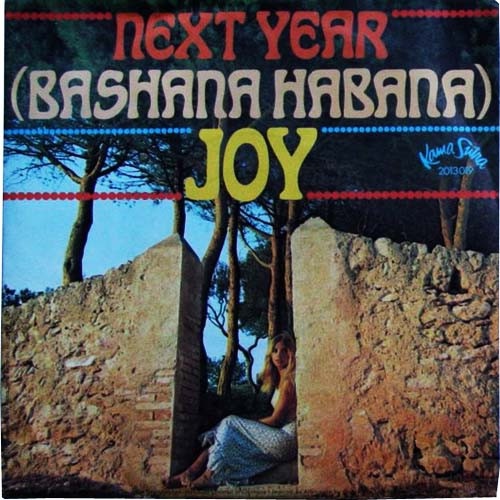 Vinyl / Joy (53) - Next Year / Two Different Things