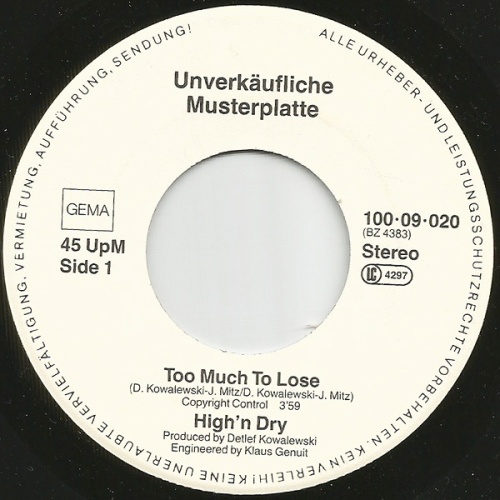 Vinyl / High'n Dry - Too Much To Lose