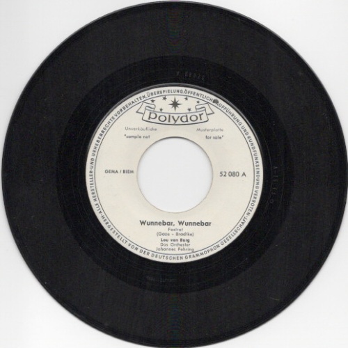 Vinyl / Lou Van Burg - Wunnebar - Wunnebar