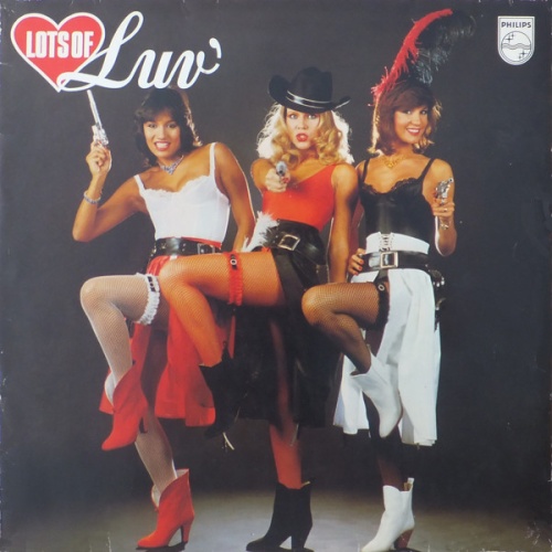 Vinyl / Luv' - Lots Of Luv'