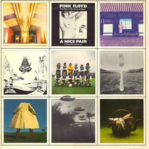 Vinyl / Pink Floyd - A Nice Pair