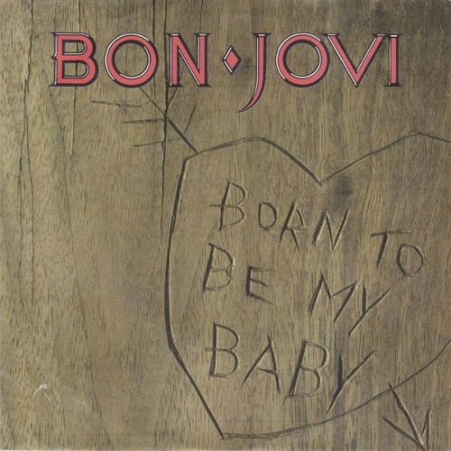 Vinyl / Bon Jovi - Born To Be My Baby
