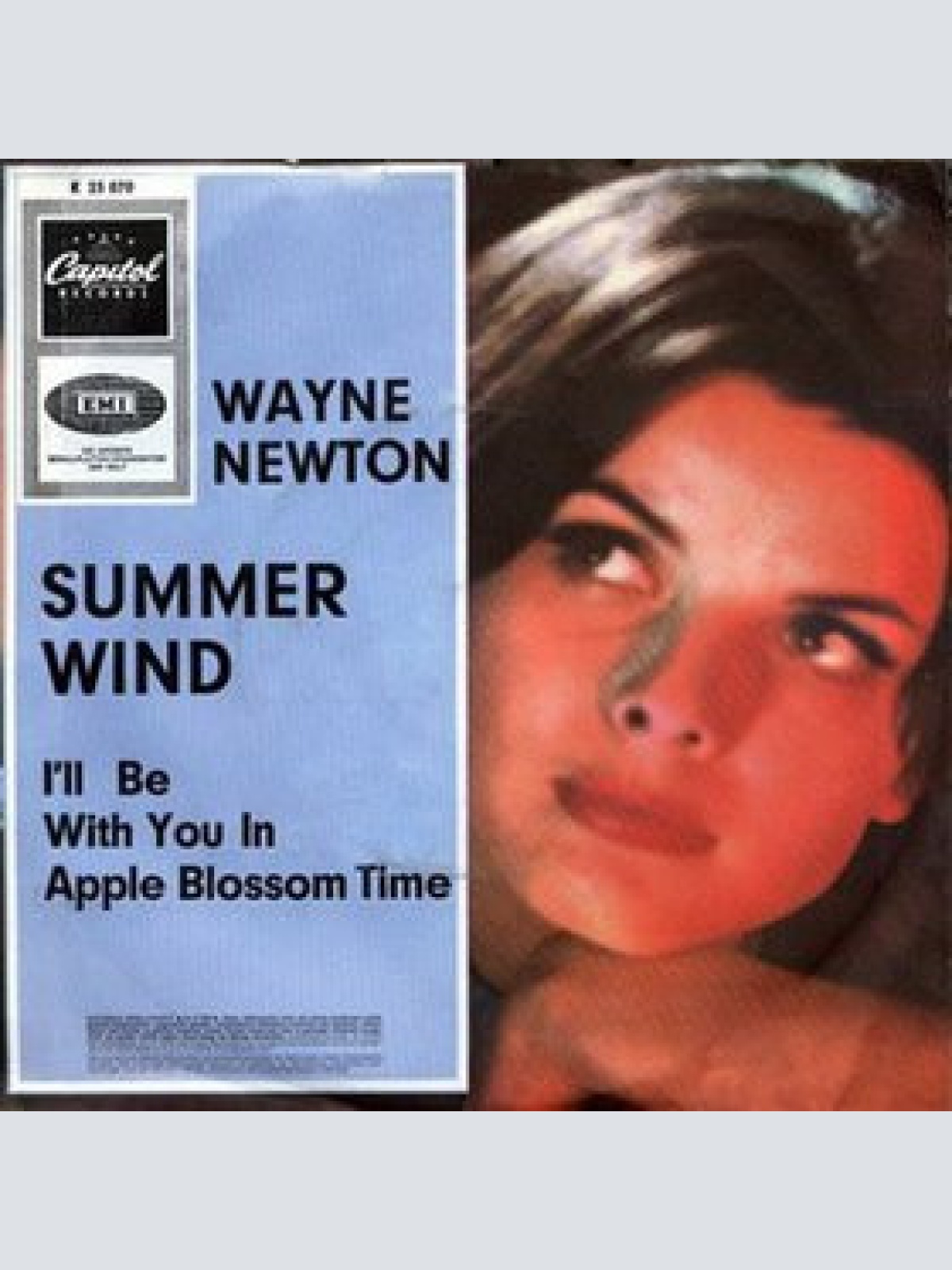 Vinyl / Wayne Newton - Summer Wind