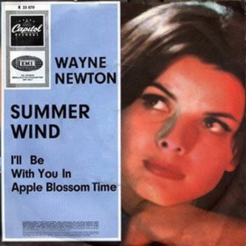 Vinyl / Wayne Newton - Summer Wind