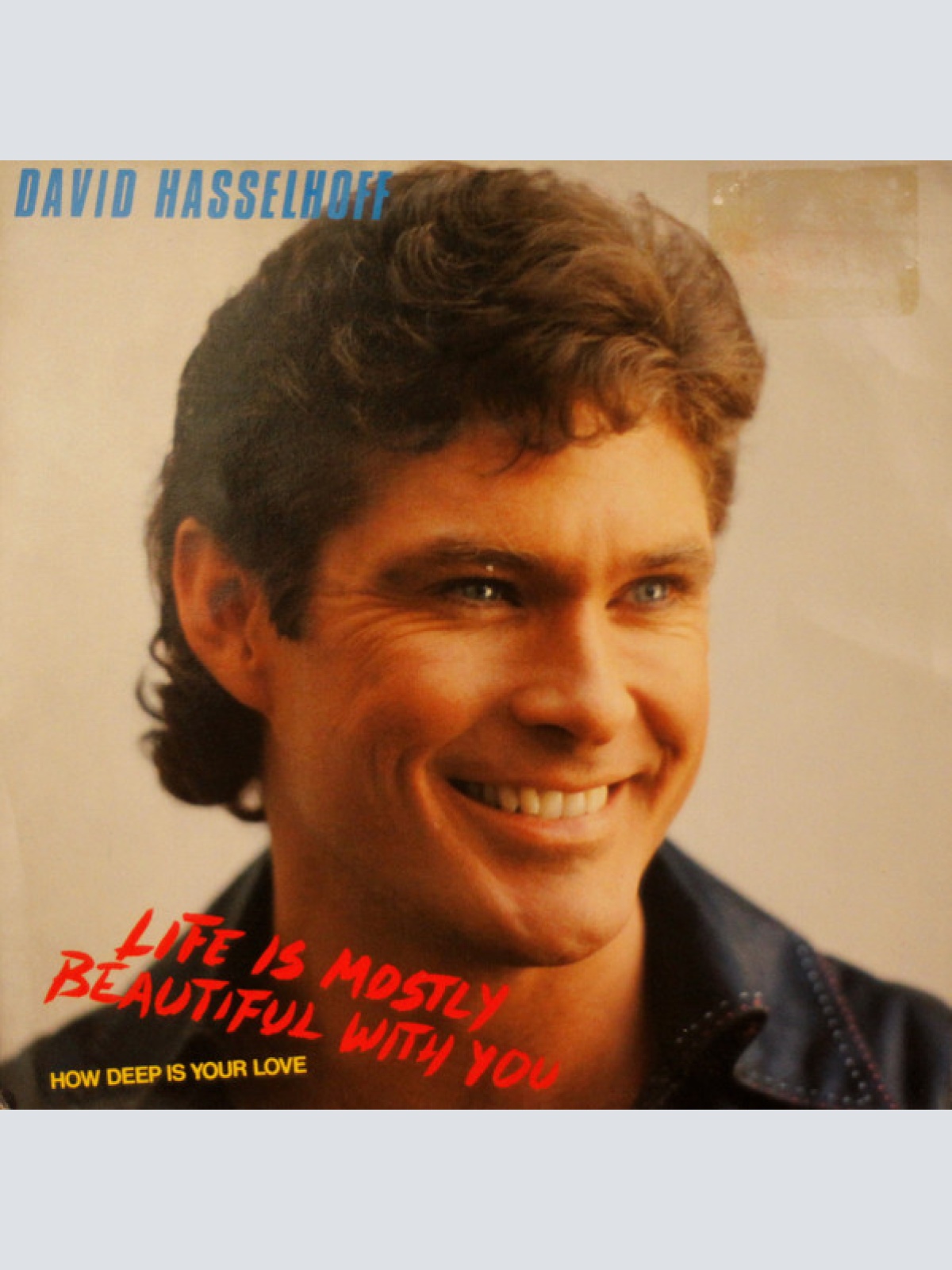 Vinyl / David Hasselhoff - Life Is Mostly Beautiful With You