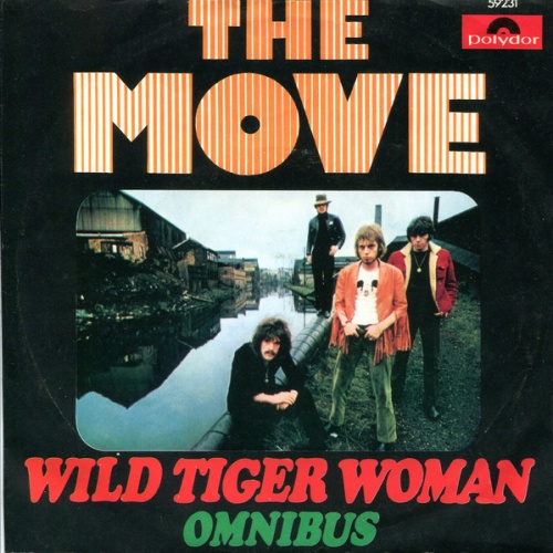 Vinyl / The Move - Wild Tiger Woman