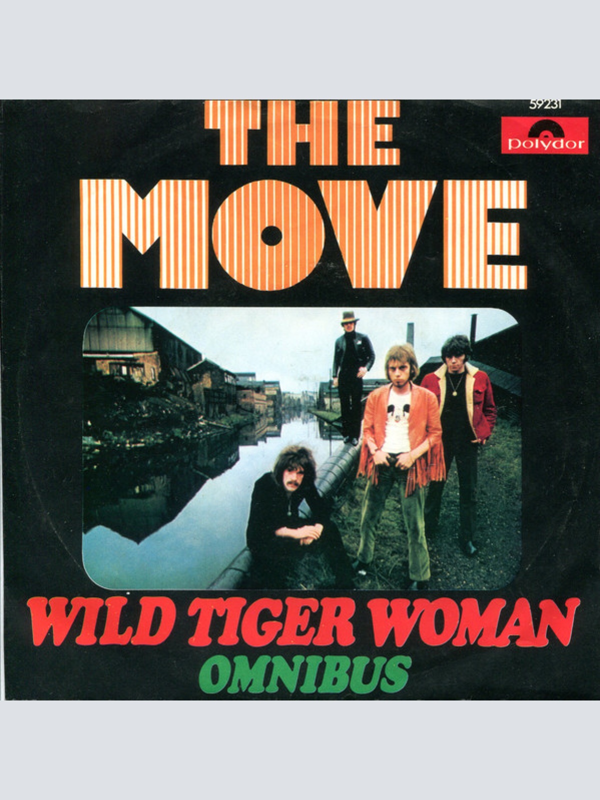 Vinyl / The Move - Wild Tiger Woman