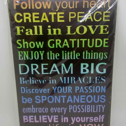 Nostalgie Retro Blechschild Spruch siehe Bild 30x20 50517