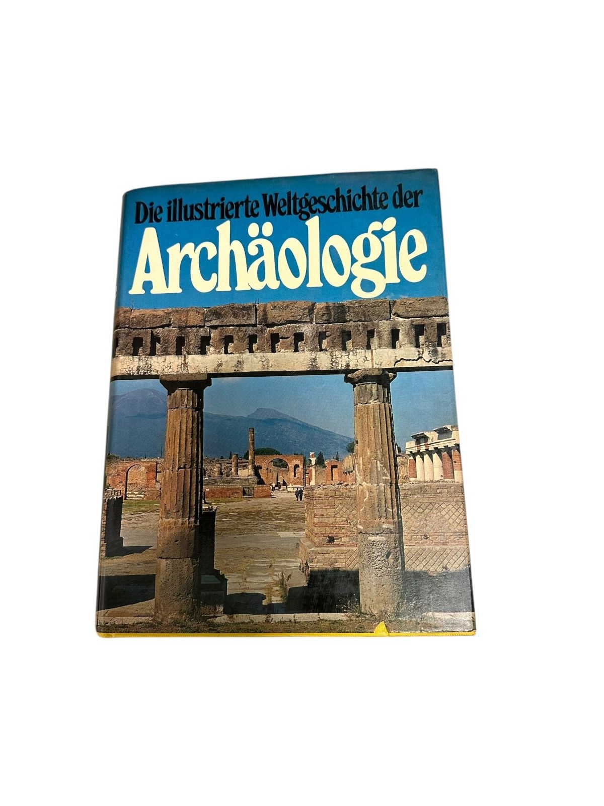 7393 Leone Fasani DIE ILLUSTRIERTE WELTGESCHICHTE DER ARCHÄOLOGIE HC +Abb