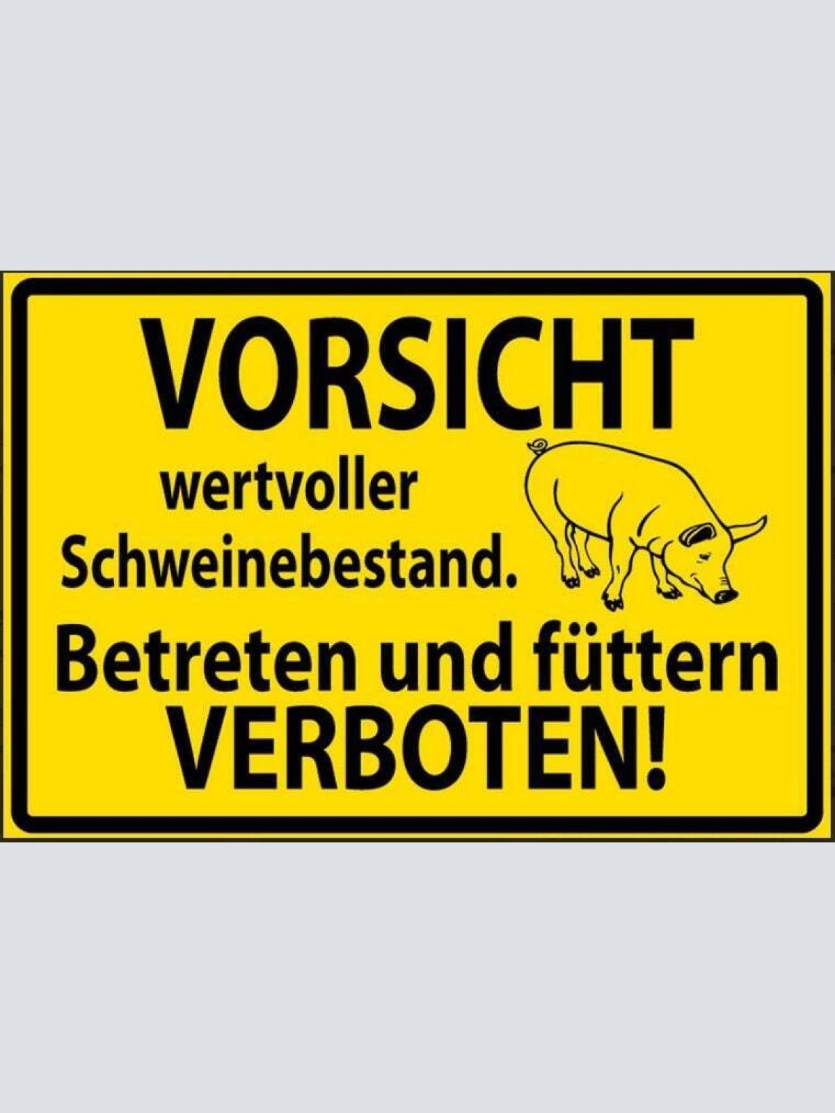 Vorsicht wertvoller schweinebestand betreten und füttern verboten  20x30