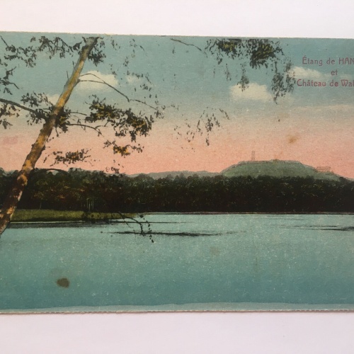Étang de Hanau et Château de Waldeck 85006 RE