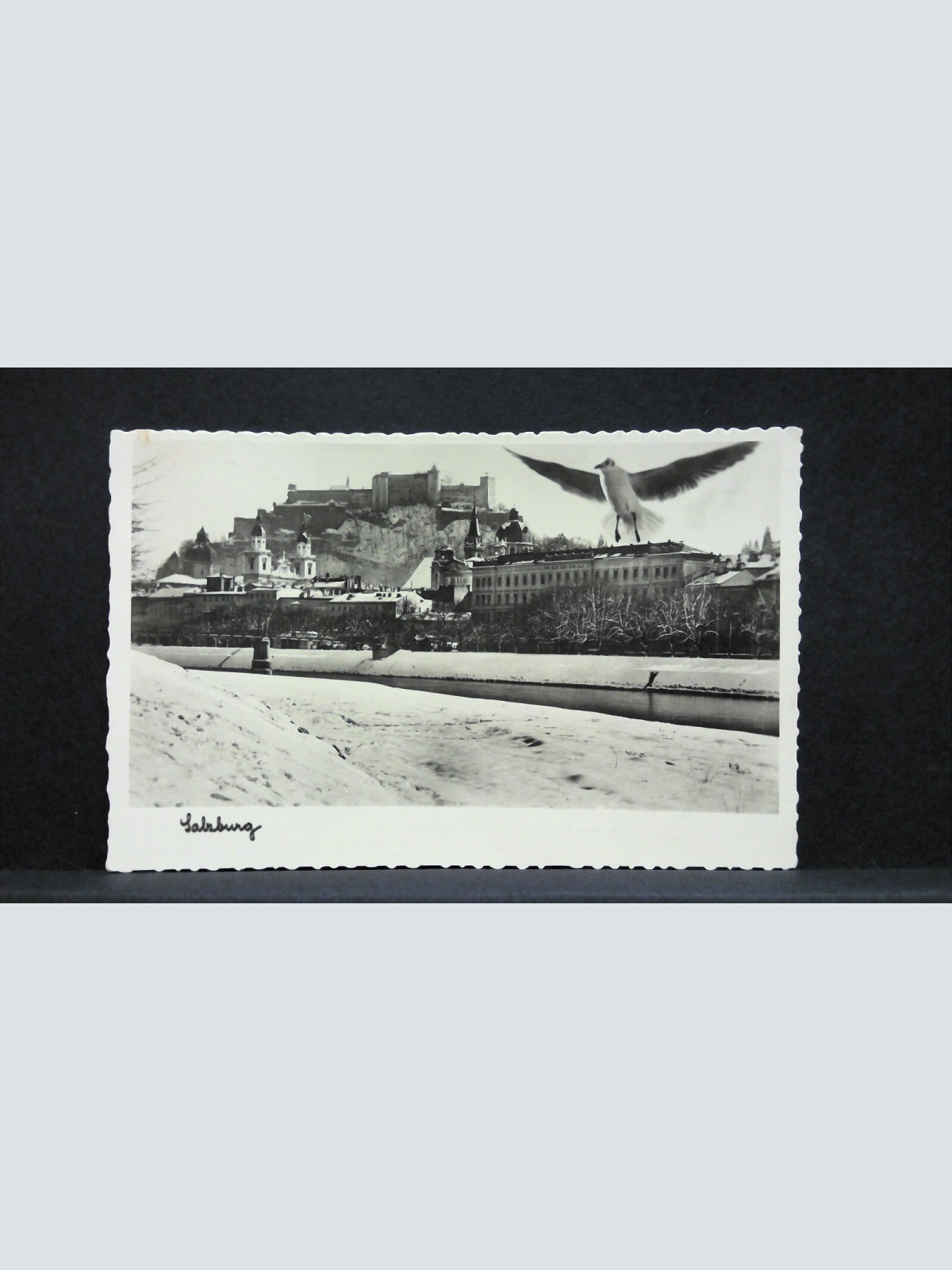 Salzburg Winter Schnee Festung Hohensalzburg JW165844