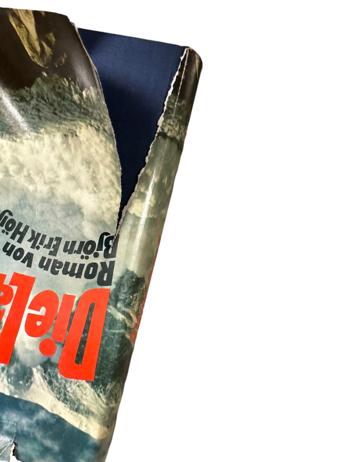 4207 Björn Erik Höijer DIE LAWINE: ROMAN HC Das Bergland Buch