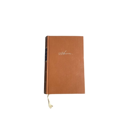 Theodor Storm DER SCHIMMELREITER. UND ANDERE ERZÄHLUNGEN HC +Abb