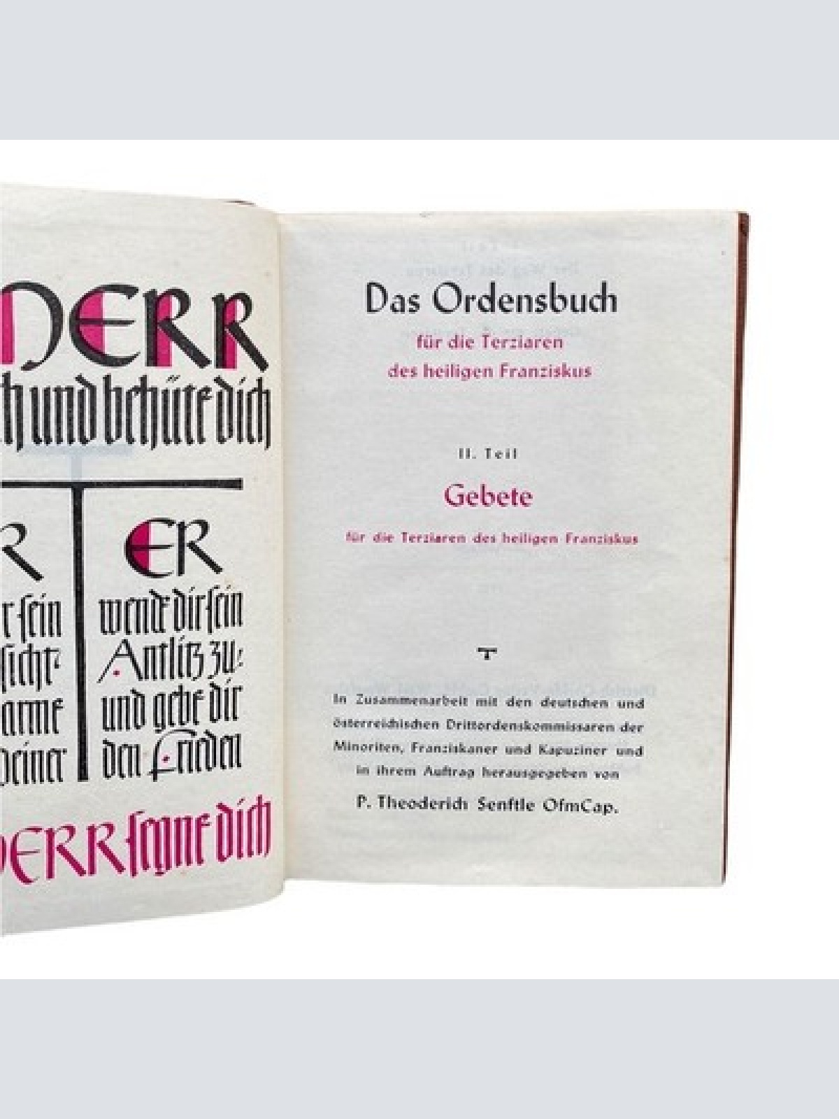 Dietrich Coelde Verlag DAS ORDENSBUCH FÜR DIE TERZIAREN DES HEILIGEN FRANZISKUS