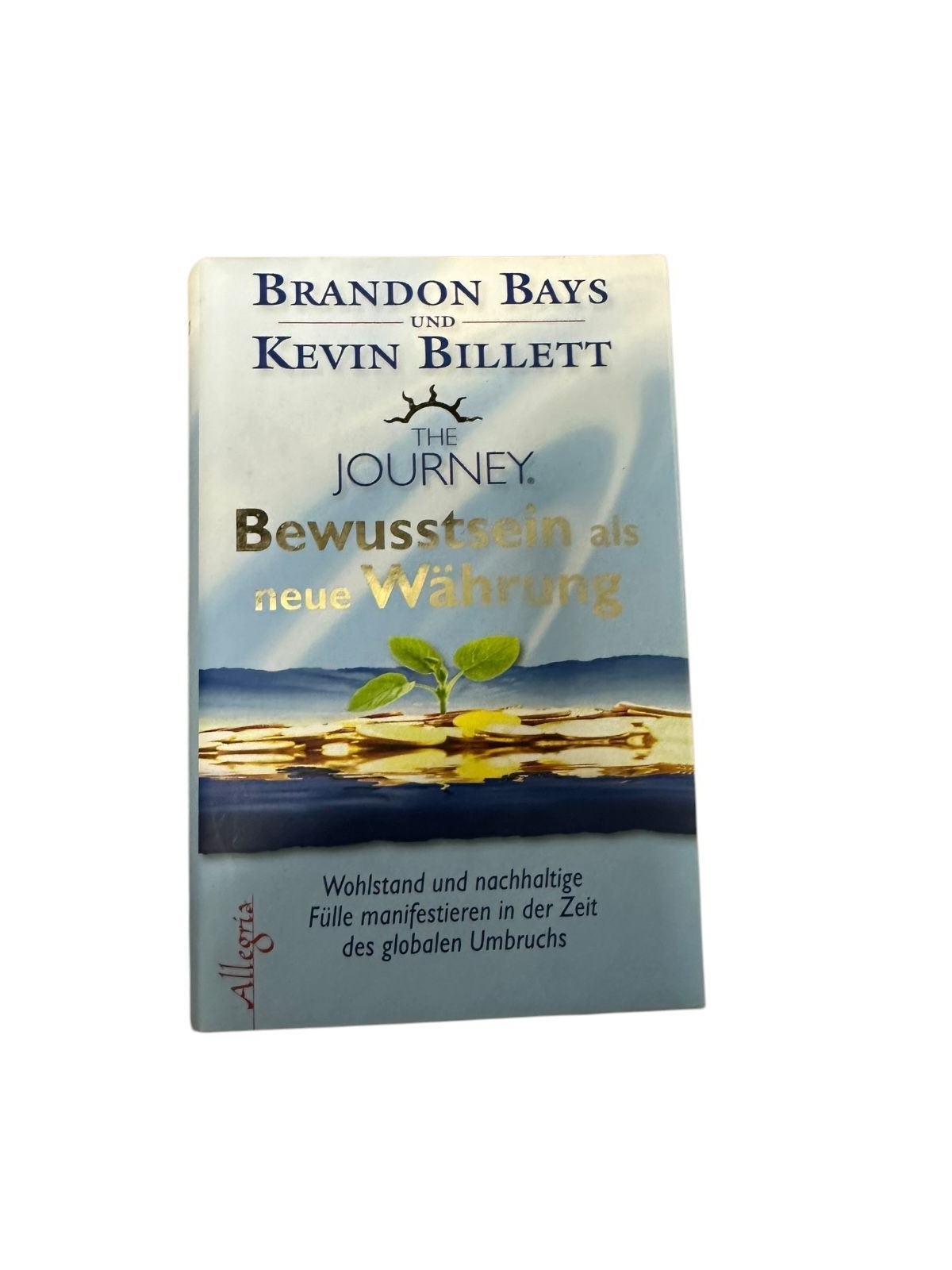 6868 Brandon Bays THE JOURNEY - BEWUSSTSEIN ALS NEUE WÄHRUNG Wohlstan