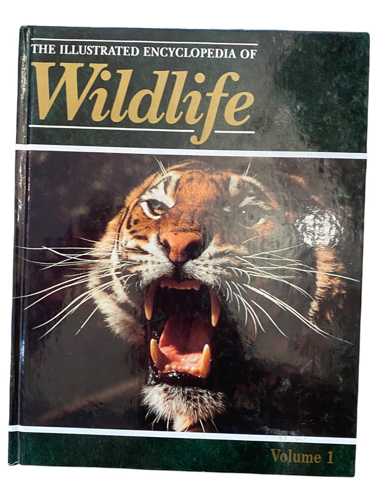 586 John Woodward THE ILLUSTRATED ENCYCLOPEDIA - WILDLIFE HC