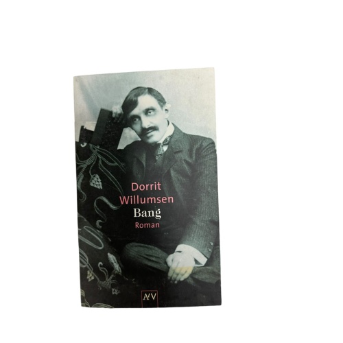 572 Dorrit Willumsen BANG Roman SEHR GUTER ZUSTAND! LIEBESERKLÄRUNG AN BANG