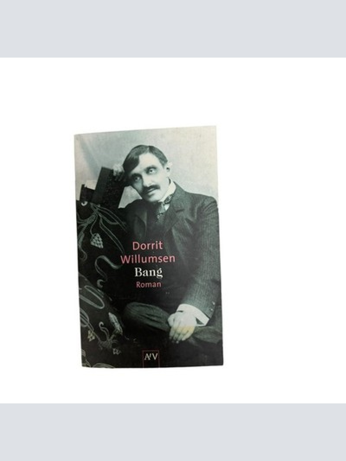 572 Dorrit Willumsen BANG Roman SEHR GUTER ZUSTAND! LIEBESERKLÄRUNG AN BANG