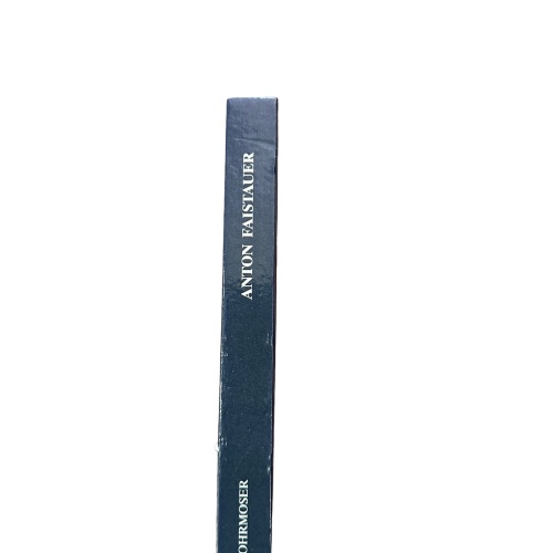 7006 ANTON FAISTAUER 1887-1930 ABKEHR V D MODERNE UNTERSUCHUNG Z STILENTWICKLUNG