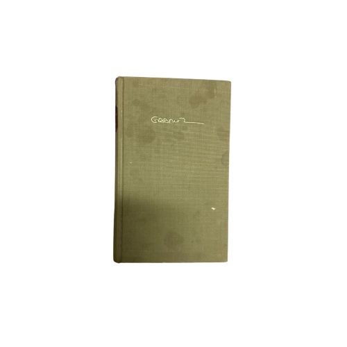 2217 Gabriel García Márquez DIE LIEBE IN DEN ZEITEN DER CHOLERA ROMAN HC