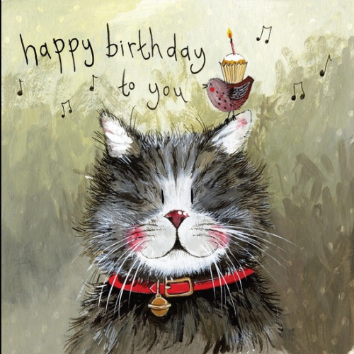 Alex Clark Katze Klaus zum Geburtstag  140x140 mm incl. Umschlag  0020