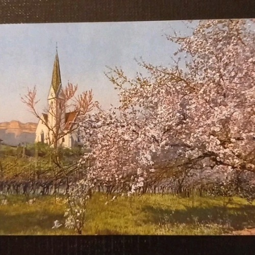 Obstblüte In Tirol Mit Kirche Gr1  5551 J