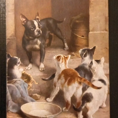 Künstlerkarte Hund und Katze Katzen Bulldogge  Gr1 J