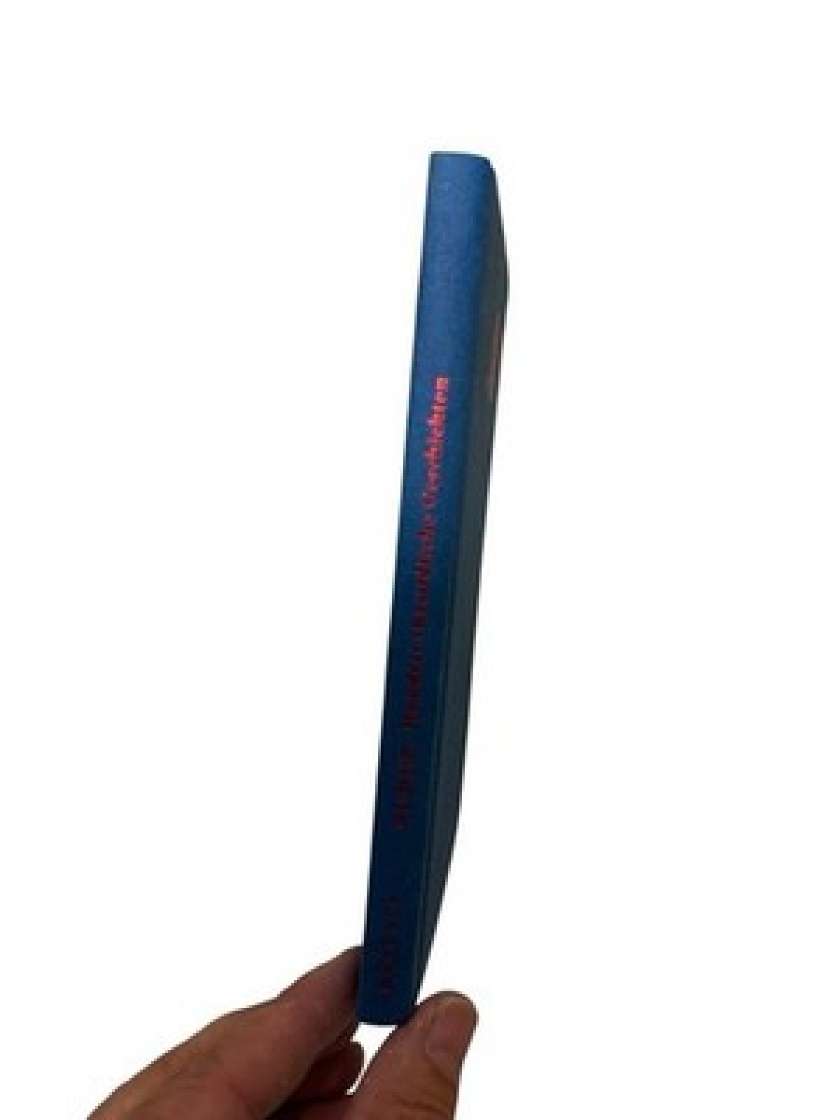 Hundert chassidische Geschichten Martin Buber. Nachw. von Paul Mendes-Flohr