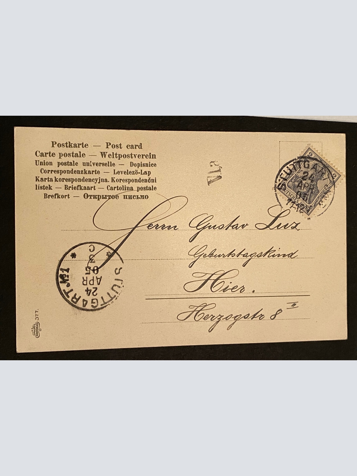 Künstlerkarte Nadelzweig Botanik um 1905 Briefmarkensprache 80252