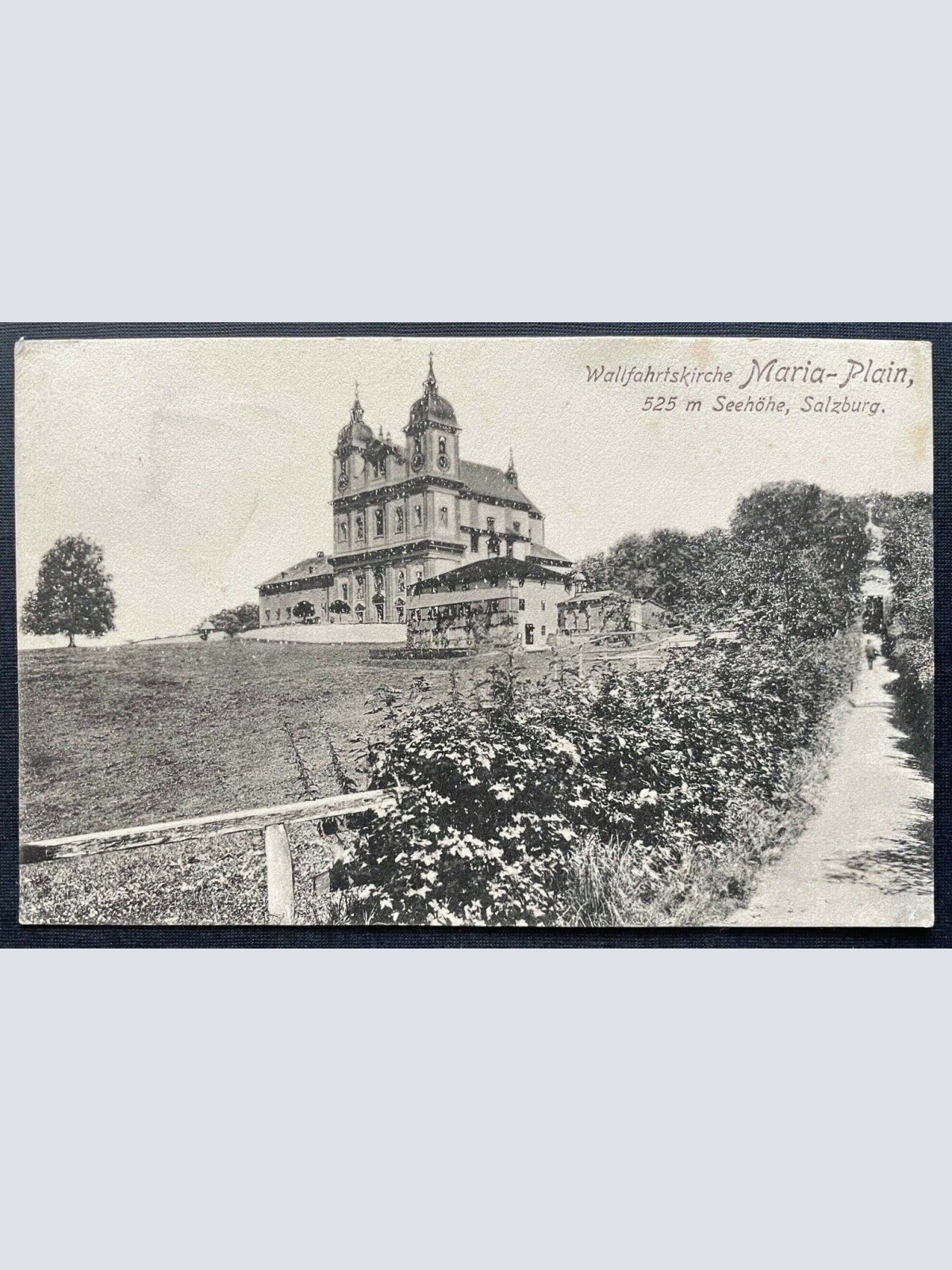 Wallfahrtskirche Maria Plain Salzburg Basilika Baum Weg Österreich 410811 TH