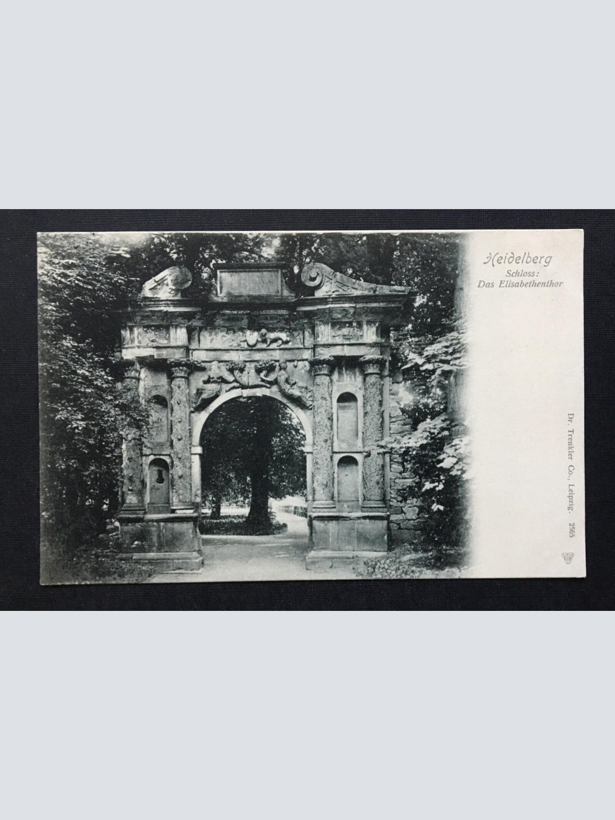 Heidelberg Schloss Elisabethenthor Park Baden-Württemberg Deutschland 401247 THA